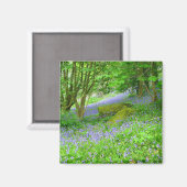 Bluebell Woods Magnet (Vorderseite/Rückseite)