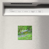 Bluebell Woods Magnet (In Situ (Geschirrspüler))