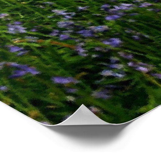 Bluebell Woods Poster (Ecke)