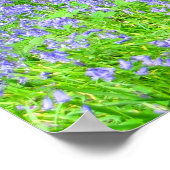 Bluebell Woods Poster (Ecke)