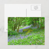 Bluebell Woods Postkarte (Vorne/Hinten)