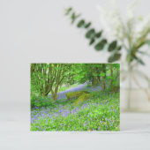Bluebell Woods Postkarte (Stehend Vorderseite)