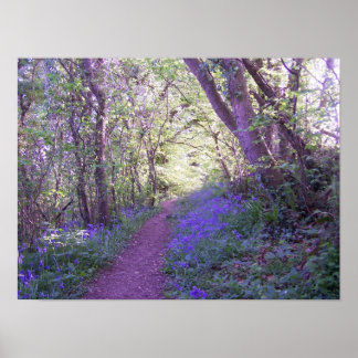Bluebell Woods Print Poster