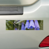 Bluebells Autoaufkleber (Auf Auto)