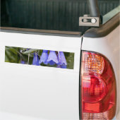 Bluebells Autoaufkleber (Auf Lkw)
