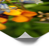 Bluebells Bluebell Spring Flowers Hyacinthoides Poster (Ecke)