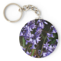 Bluebells Blume Natur Blumenblauer Lila Blume