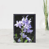 Bluebells Card Karte (Vorderseite)