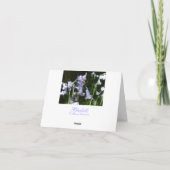 Bluebells Dankeskarte (Rückseite)