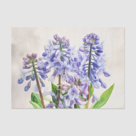 BLUEBELLS-Entpackpapier Seidenpapier (Vorderseite)
