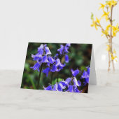 Bluebells fraktaliert karte (Gelbe Blume)