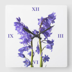 Bluebells, From the very Woods I Created! Quadratische Wanduhr