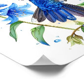 Bluebells Hummingbird Aquarellfarben Print Poster (Ecke)