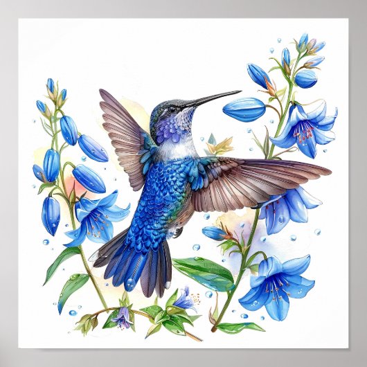 Bluebells Hummingbird Aquarellfarben Print Poster (Vorne)