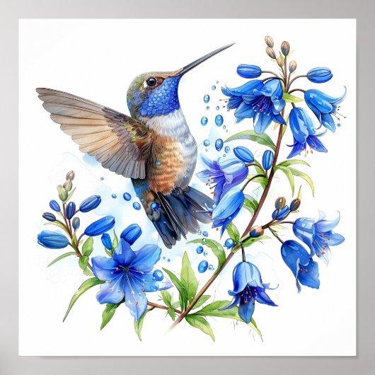 Bluebells Hummingbird Aquarellfarben Print Poster (Vorne)
