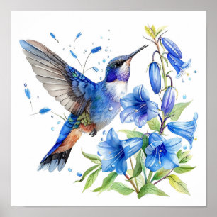 Bluebells Hummingbird Aquarellfarben Print Poster