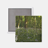 Bluebells im Wald Magnet (Vorderseite/Rückseite)