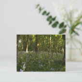 Bluebells im Wald Postkarte (Stehend Vorderseite)
