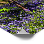 Bluebells im Waldposter Poster (Ecke)