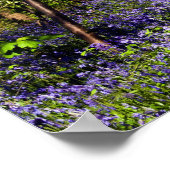 Bluebells im Waldposter Poster (Ecke)