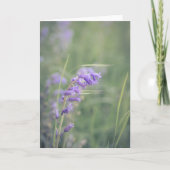Bluebells im Windstil Karte (Vorderseite)