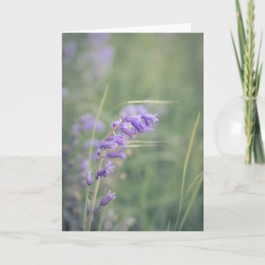 Bluebells im Windstil Karte (Vorderseite)