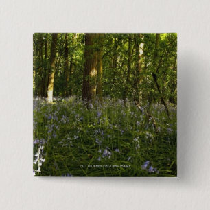 Bluebells in einem Wald Button