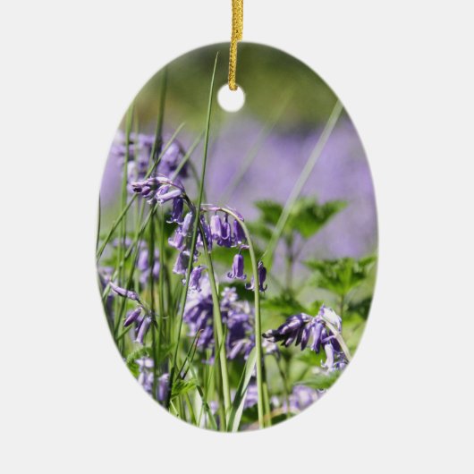Bluebells in England Keramikornament (Vorne)