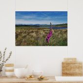 Bluebells in Schottland Poster (Küche)