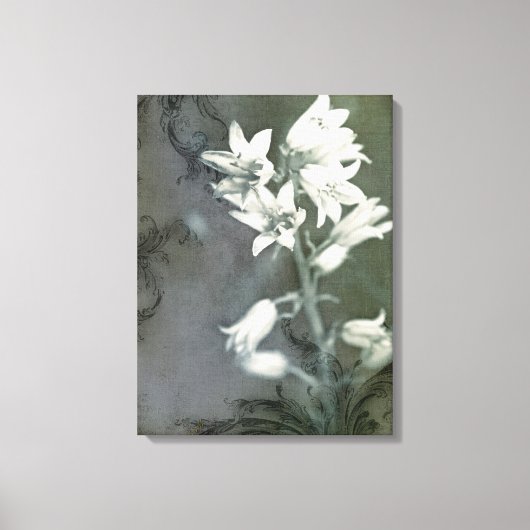 Bluebells in Schwarz und Weiß Leinwanddruck (Vorderseite)