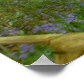 Bluebells in Woods Poster (Ecke)
