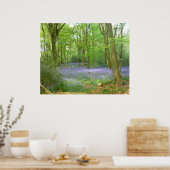 Bluebells in Woods Poster (Küche)