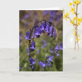 Bluebells kardieren durch cARTerART Karte (Gelbe Blume)