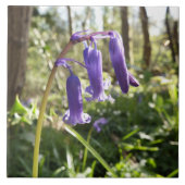 Bluebells-Keramik-Fliese Fliese (Vorderseite)