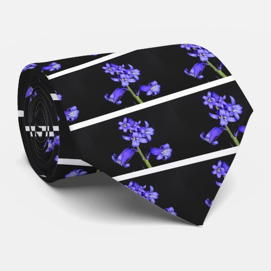 Bluebells Krawatte (Gerollt)