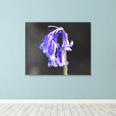 Bluebells Leinwanddruck (Insitu (Holzboden))