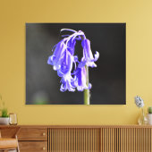 Bluebells Leinwanddruck (Insitu (Wohnzimmer))