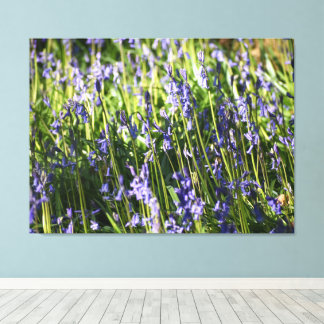 Bluebells Leinwanddruck