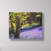 Bluebells Leinwanddruck (Vorderseite)