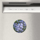 Bluebells Magnet (In Situ (Geschirrspüler))
