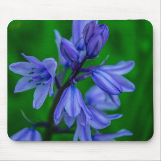 Bluebells Mousemat Mousepad