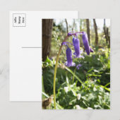Bluebells Postcard Postkarte (Vorne/Hinten)