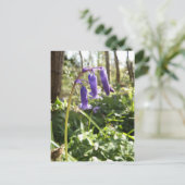 Bluebells Postcard Postkarte (Stehend Vorderseite)