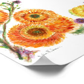 Bluebells Poster (Ecke)