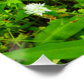 Bluebells Poster (Ecke)