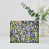Bluebells Postkarte (Stehend Vorderseite)