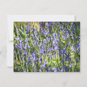 Bluebells Postkarte