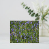 Bluebells Postkarte (Stehend Vorderseite)