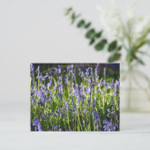 Bluebells Postkarte (Stehend Vorderseite)