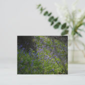 Bluebells Postkarte (Stehend Vorderseite)